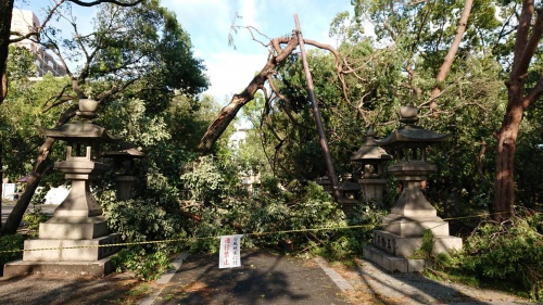 台風被害１