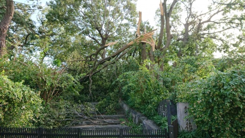 台風被害２